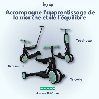 Draisienne Scootizz